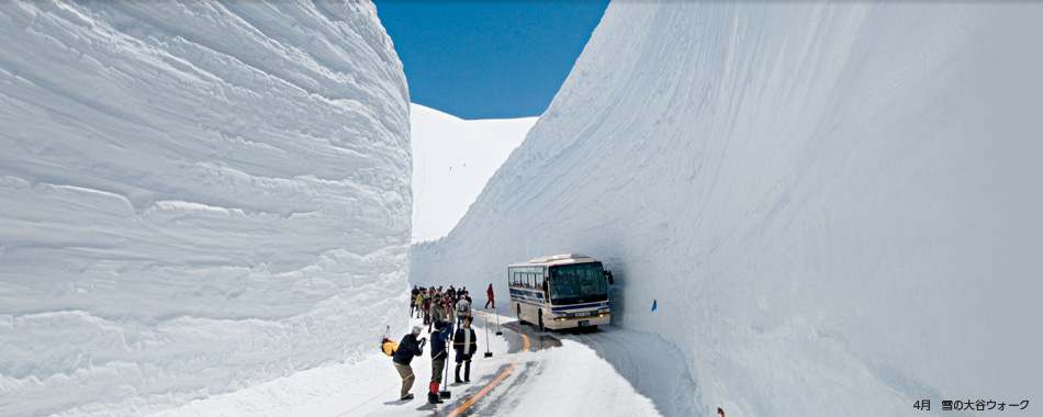 雪の大谷ウォーク