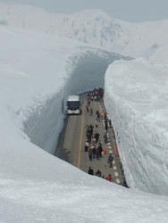 立山黒部アルペンルートが全線開通しました！