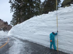 立山黒部アルペンルートの積雪調査