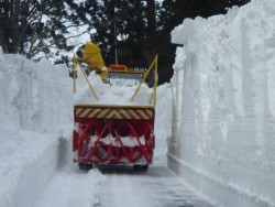 立山黒部アルペンルートの積雪調査