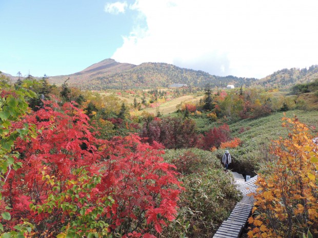 紅葉弥陀ヶ原270929